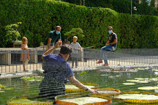 El Real Jardín Botánico de Madrid - Cayumas