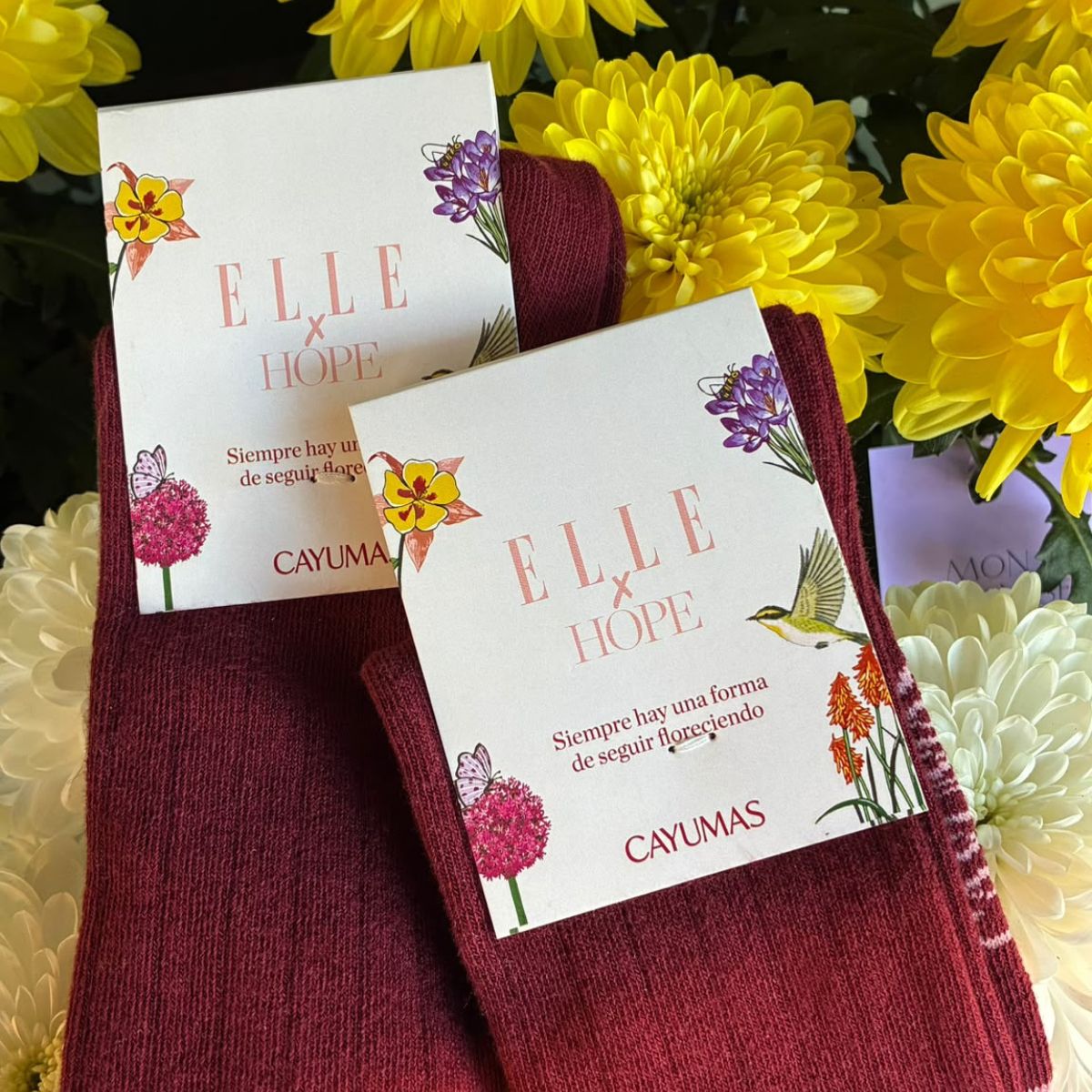 Calcetín Bordeaux ELLE X HOPE