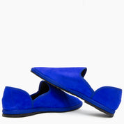 Fígaro Bluette Suede